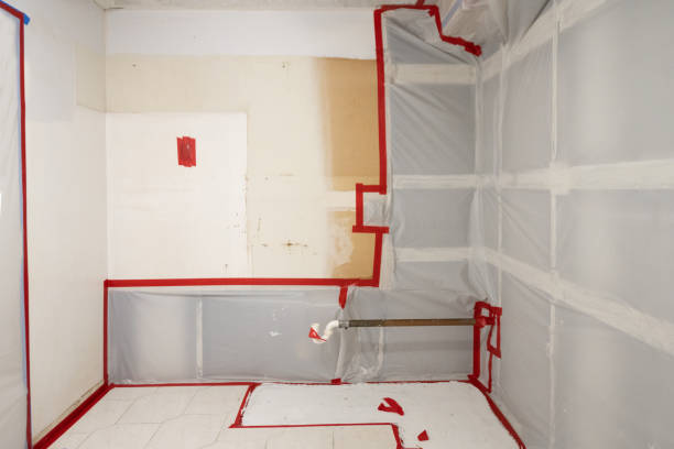 Best Basement Mold Removal  in Beatrice, NE
