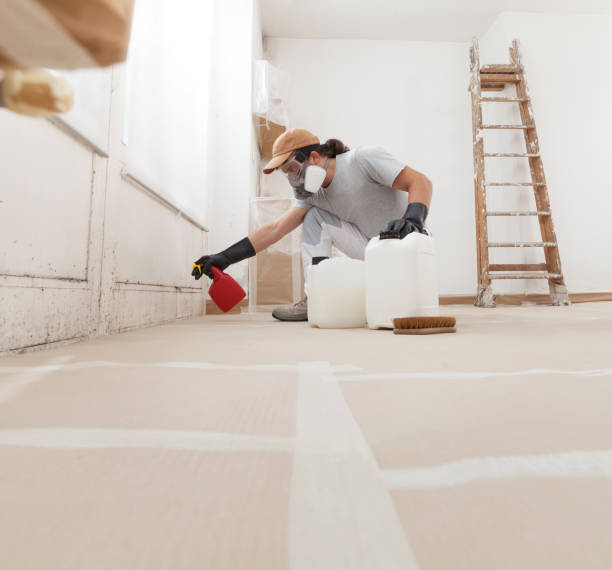  Beatrice, NE Mold Removal Pros